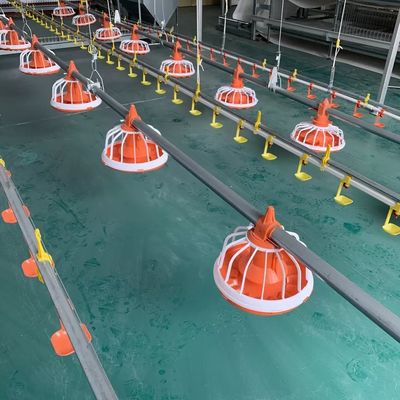 Galvanized Pipe Chicken Farming Machine for broilers products