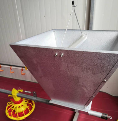 Automatic broiler / chicken / poultry pan feeding line