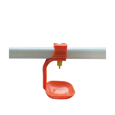 CE Certification auto feeding system For Chicken Farm And Poultry Farm