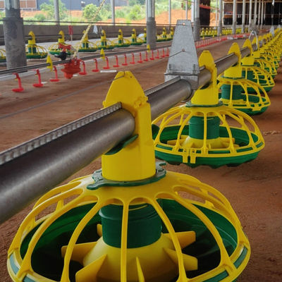 CE Certification auto feeding system For Chicken Farm And Poultry Farm
