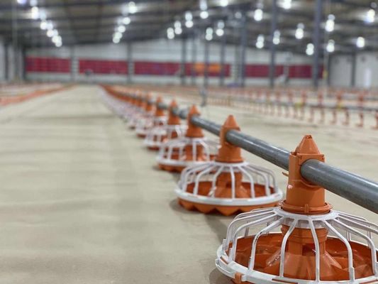 14/16 partitions Poultry Farm Equipment Plastic Chicken Feeders And Drinkers