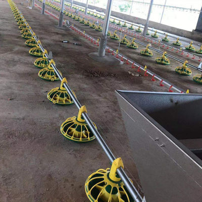 14/16 partitions Poultry Farm Equipment Plastic Chicken Feeders And Drinkers