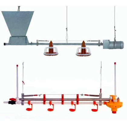 450kg/H Fully Automatic Chicken Feed Line With Hopper Galvanized Pipe
