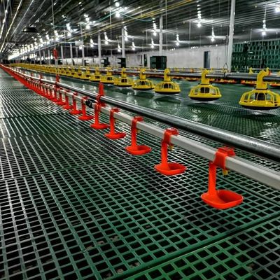 HX Chicken Breeding Equipment 4 Holes / 3040mm Feed pipe