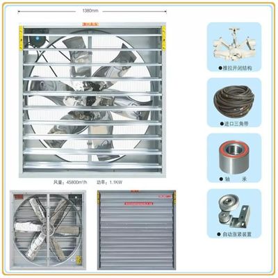 Stainless Steel Exhaust Fan In Chicken Coop Swung Drop Hammer