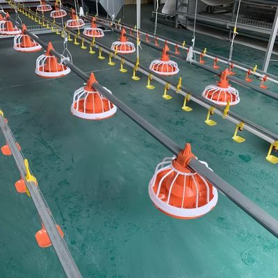 Dia.25mm Automatic Poultry Feeder For Broiler 10 Years Life Span