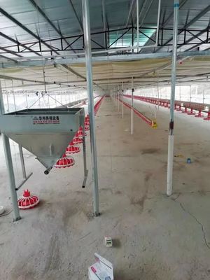 Plastic Poultry Farm Equipment 380v 0.75kw Automatic Feeding Machine For Poultry