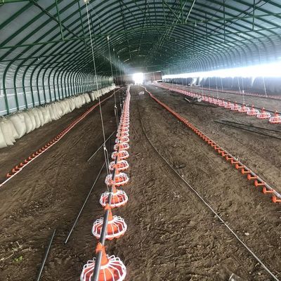 45-60 Chicken Poultry Farm Equipment 3 pan/3m Poultry Farm Feeding System