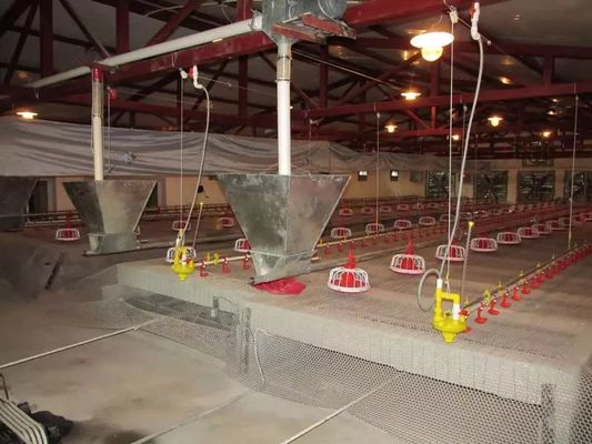 CE Certification Chicken Poultry Equipment Easy Installation
