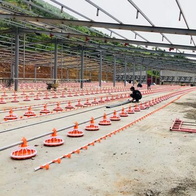 4 Pan/3m Poultry Farm Equipment 380v Automatic Feeding System