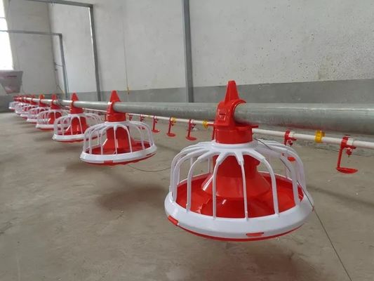Broiler Chicken Farming Equipment 380v With 1 Year Warranty