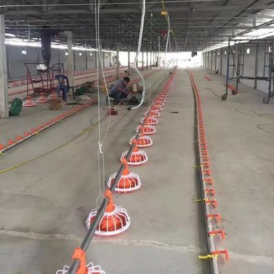 14 grilles Broiler Farm Equipment 3 pan/3m Broiler Poultry Farming Equipment