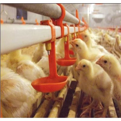 Bird Quail Chicken Nipple Drinker System 3 Months Warranty