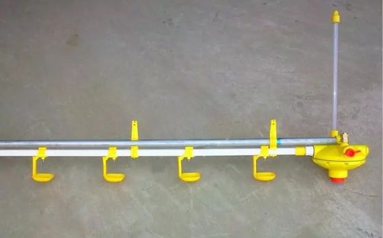 Convenient Durable Nipple Drinkers For Broilers Manufacturing Plant