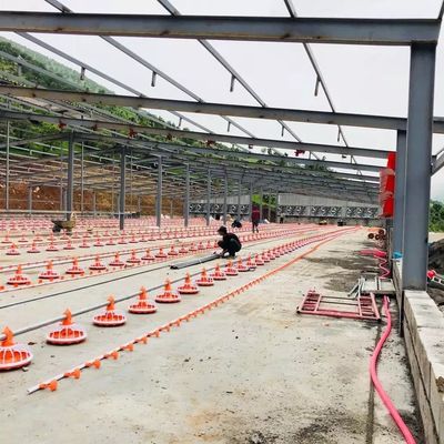 Dia 45mm Poultry Farming Machine Galvanized Steel For Broilers Products