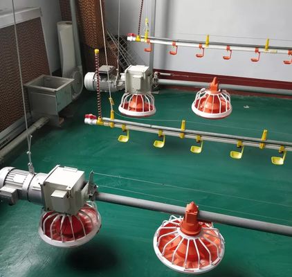 Breeder / Broiler Poultry Farming Machine 14 16 Compartments