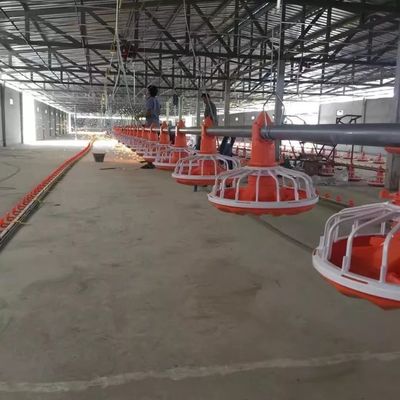 0.75m Poultry Farming Machine Galvanized Steel Chicken Poultry Farm Equipment