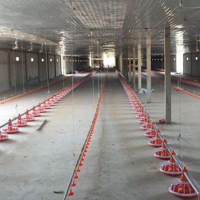 Galvanized Pipe Poultry Farming Machine Pan Feeding System Diameter 45mm
