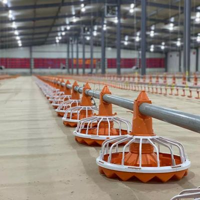 Taiwan Brand Gear Motor Broiler Automatic Feeder Plastic And Galvanized Steel