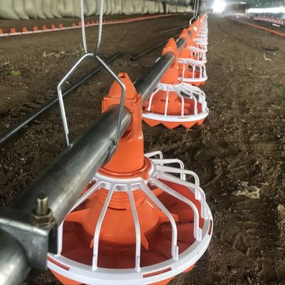 3 Pan/3m Chicken Feeding System Easy Installation Long Service Life