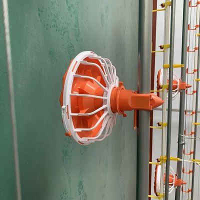 HX Poultry Farm Equipment 0.75kw Automatic Chicken Feeder System