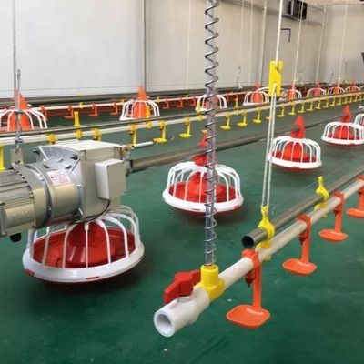 OEM Poultry Farm Equipment 30KG Automatic Poultry Feeder For Broiler