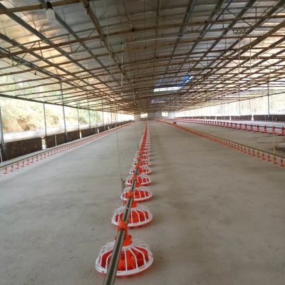 14 Grid 16 Grid Poultry Farm Equipment Feeding Line For Chicken