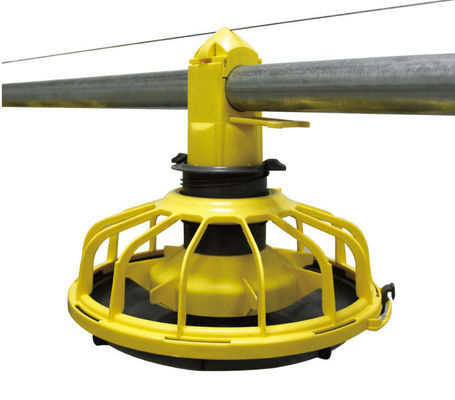 14/16 partitions Poultry Farm Equipment Plastic Chicken Feeders And Drinkers