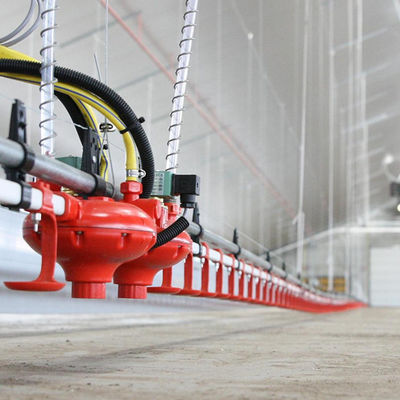 Plastic Material Poultry Feeder And Drinker Long Service Time