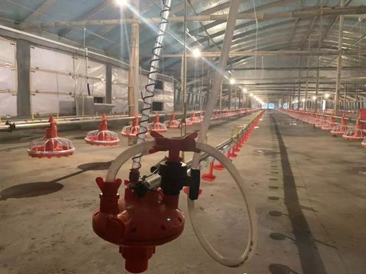 4 Pan/3m Chicken Feeder Equipment 380v 0.75kw With Driving Device